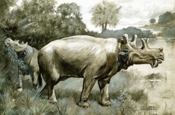 泰坦級(jí)哺乳動(dòng)物——尤因它獸（恐角獸）